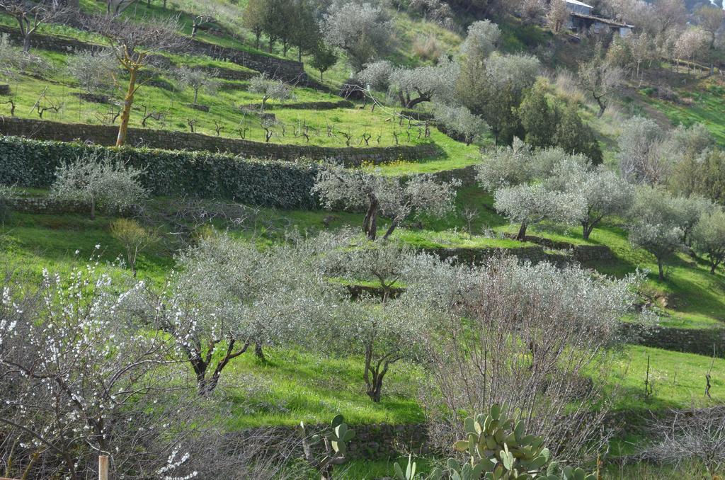 Villa Della Mimosa Alia Exterior foto