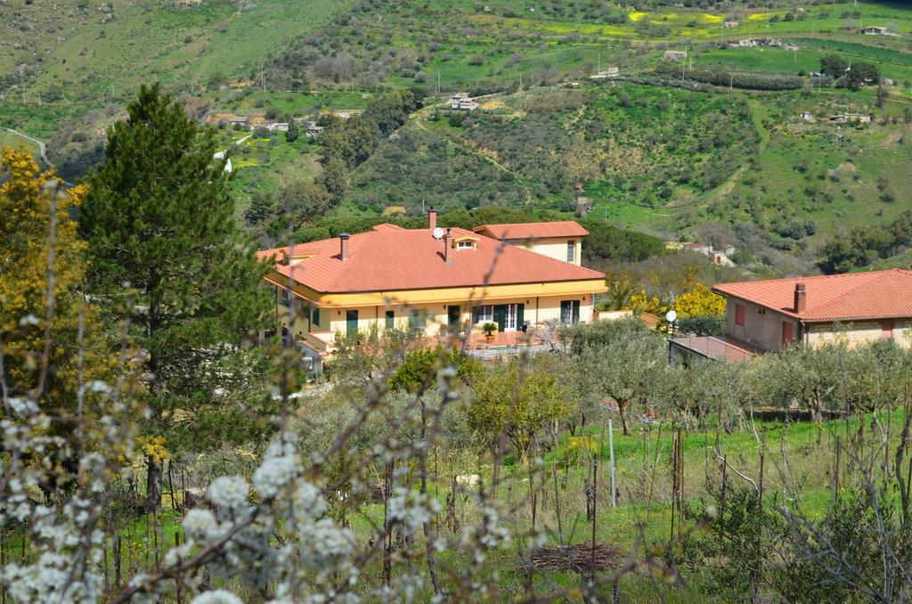 Villa Della Mimosa Alia Exterior foto